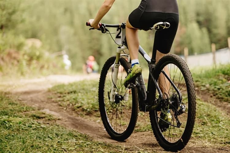 レンタサイクリング初心者向け完全攻略|必要な道具と始め方を詳しく解説