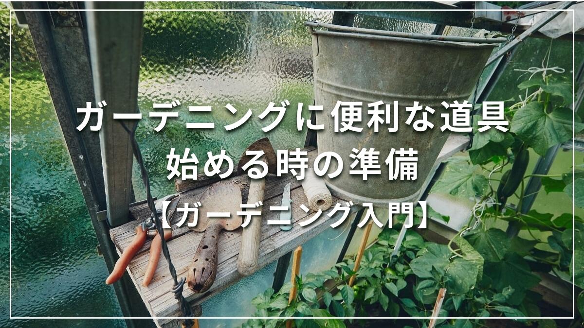 寄せ植え 最初の一歩