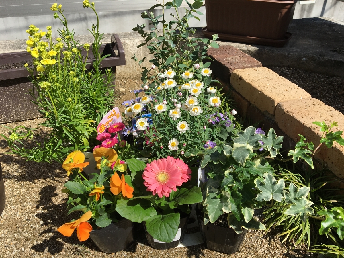 寄せ植え 必要なものリスト