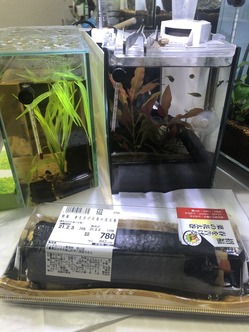 飼育日誌ブログ初心者が最初に揃えるべき道具|おすすめ商品と選び方