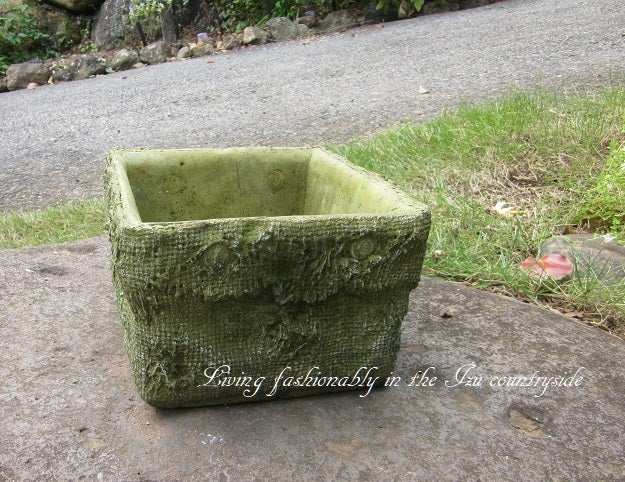 寄せ植え 魅力とは