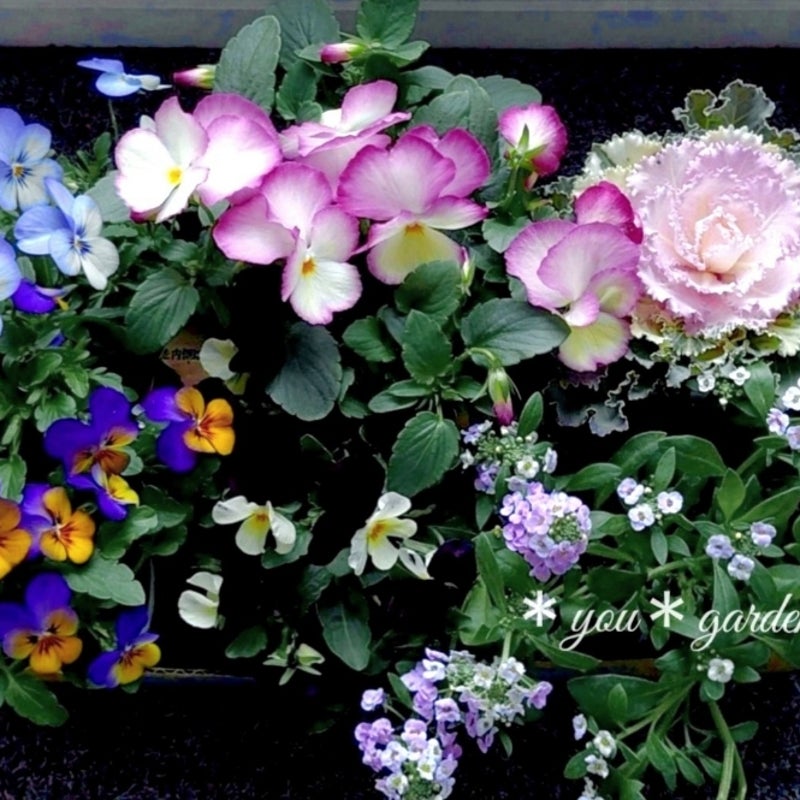 ガーデニング 魅力とは