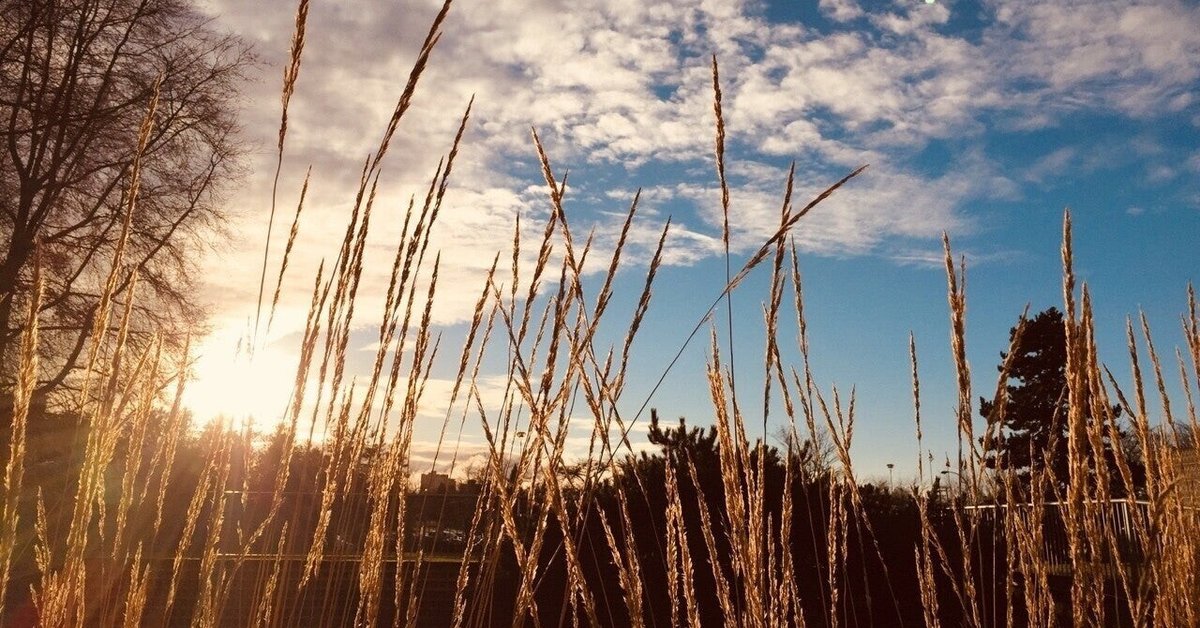 読書日記 最初の一歩