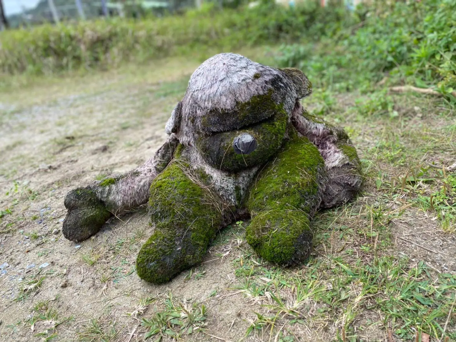 清掃活動 必要なものリスト