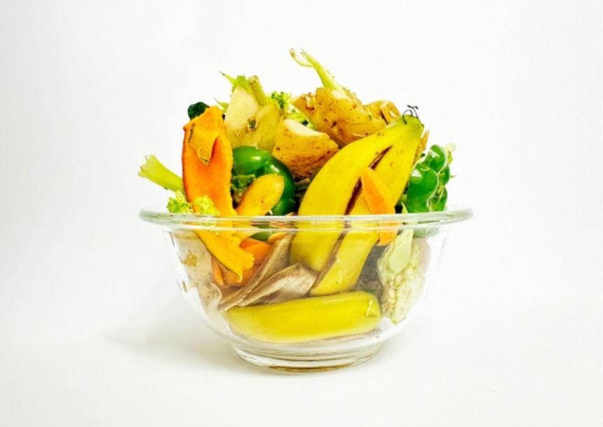 生ごみリサイクルを始めるのに必要なもの全て|初心者向けスターターセット