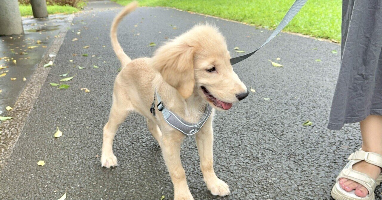 ペット関連SNS活用 挨拶