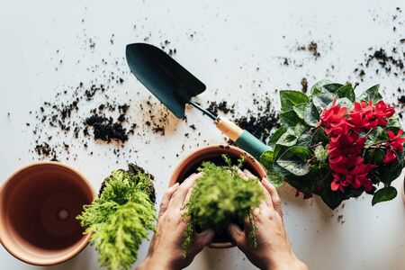 オーガニックガーデニング 最初の一歩