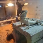 飼育日記 魅力とは