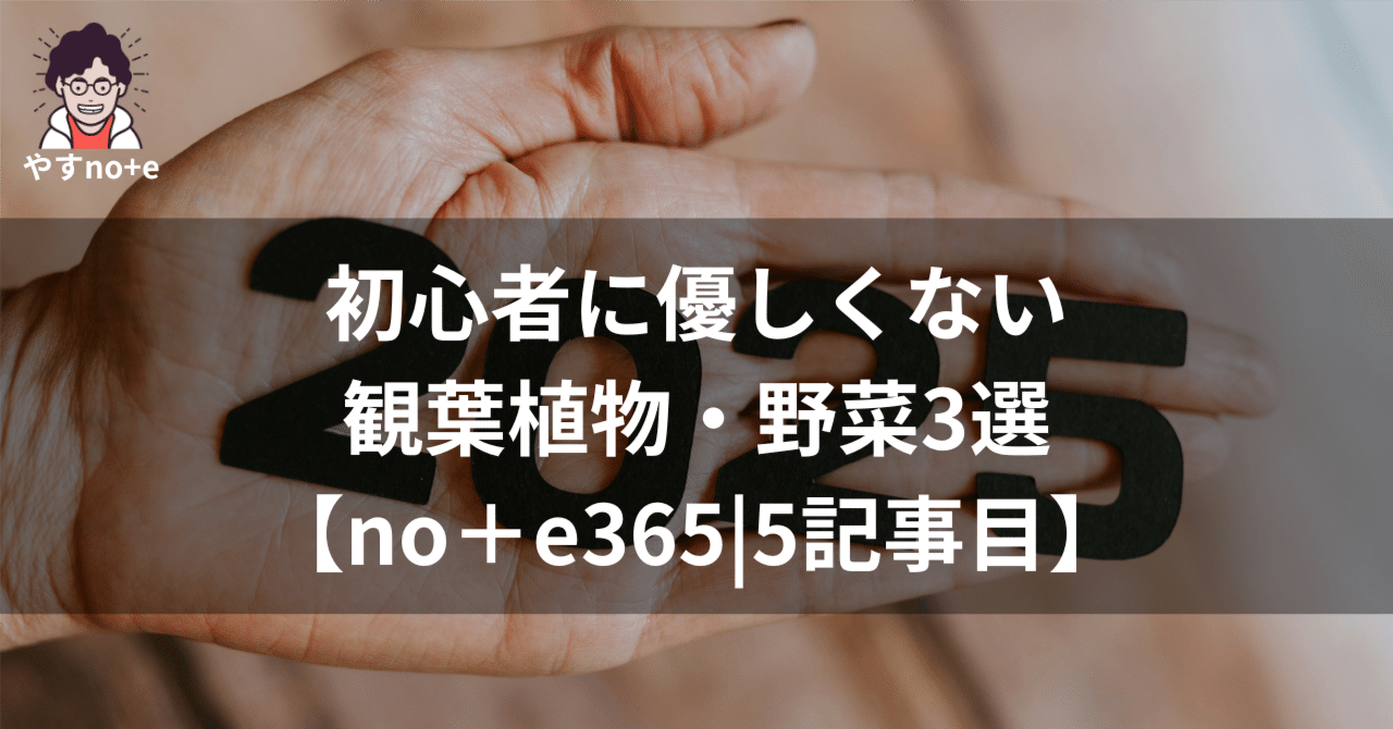 観葉植物 魅力とは