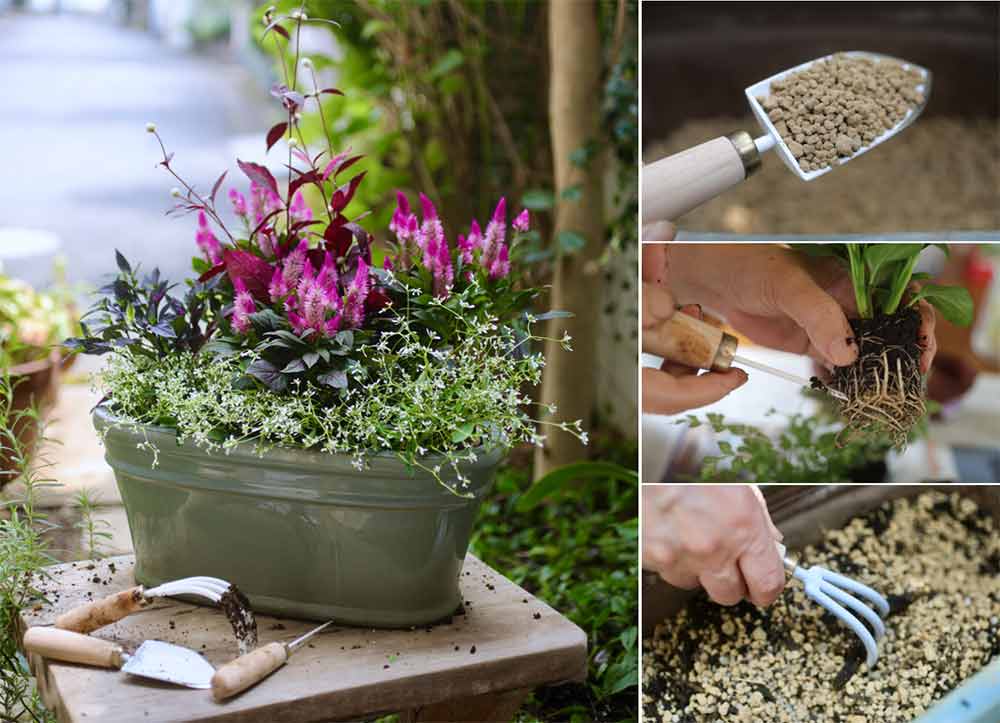 寄せ植えデビューに必要な道具一覧|初心者におすすめの商品まとめ