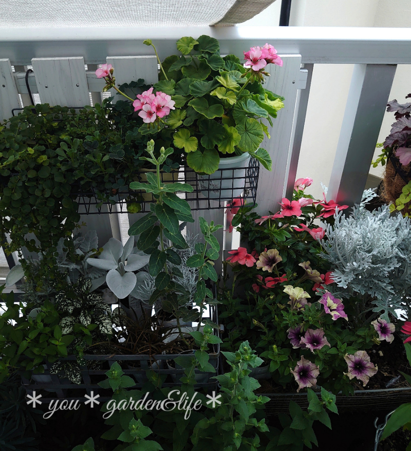 ガーデニング容器づくり 魅力とは