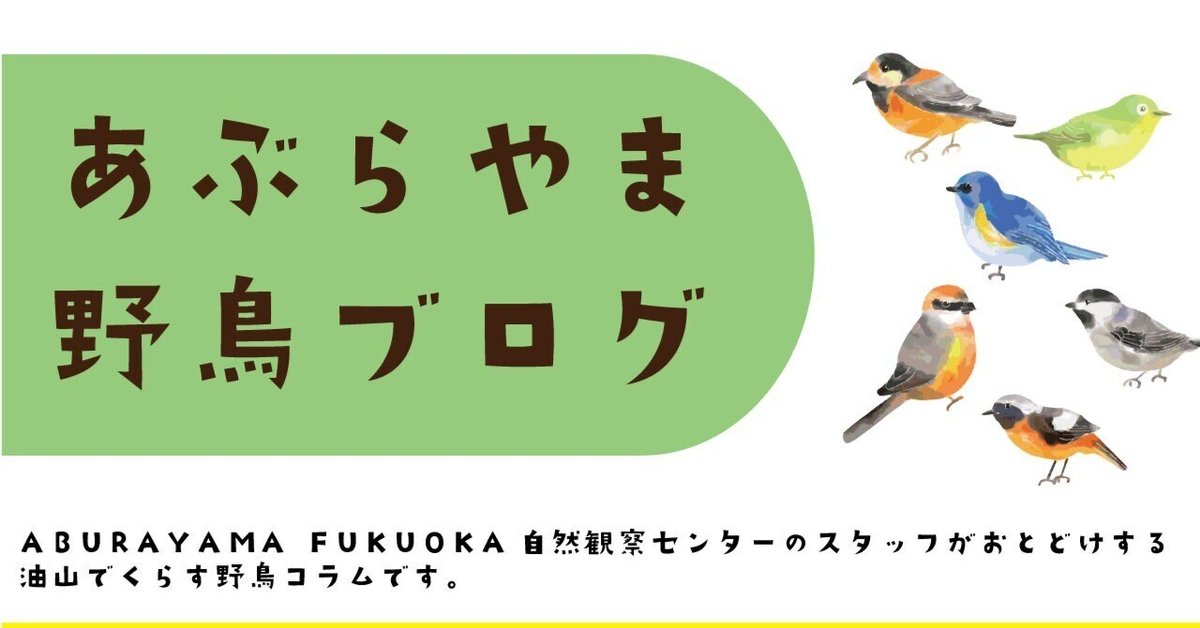 渡り鳥 最初の一歩