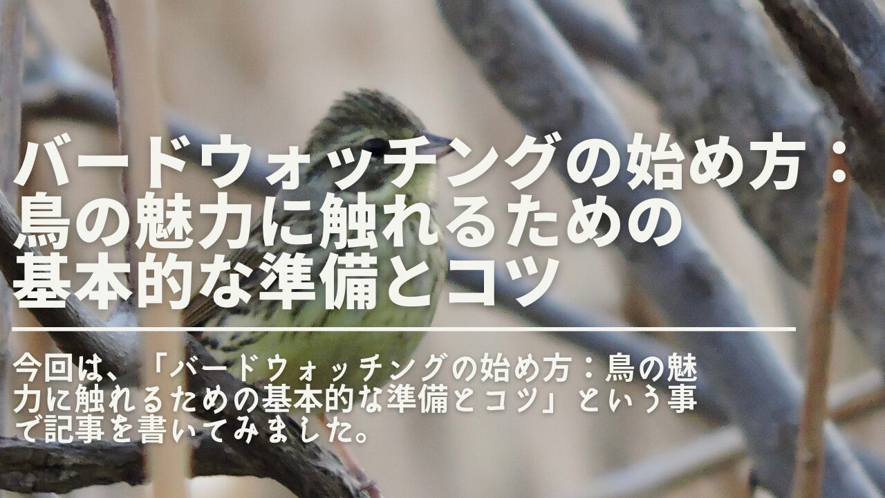 渡り鳥 魅力とは