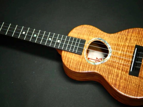 ウクレレ 魅力とは