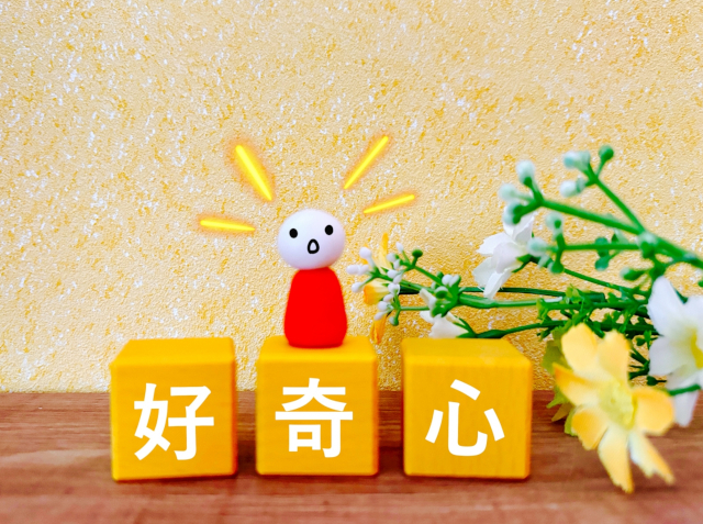 ガーデニング初心者ガイド|コスパ最高の道具選びと始め方のコツ