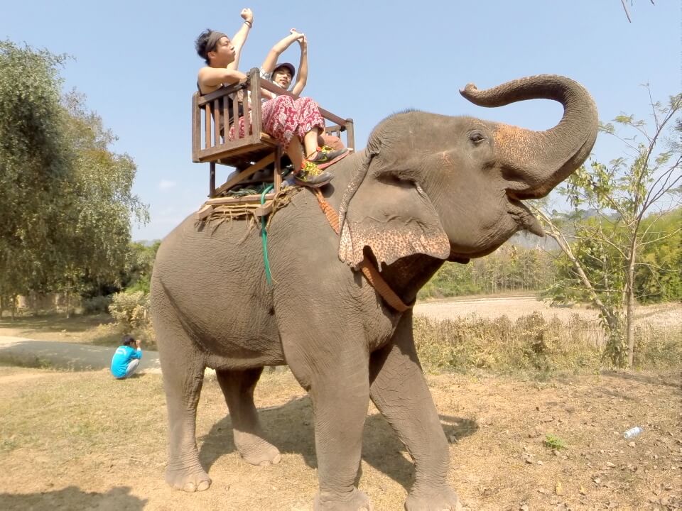 バックパッカー 魅力とは