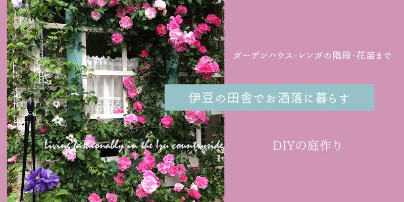 寄せ植え 最初の一歩