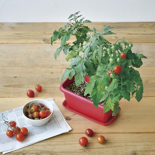 オーガニックガーデニング 魅力とは