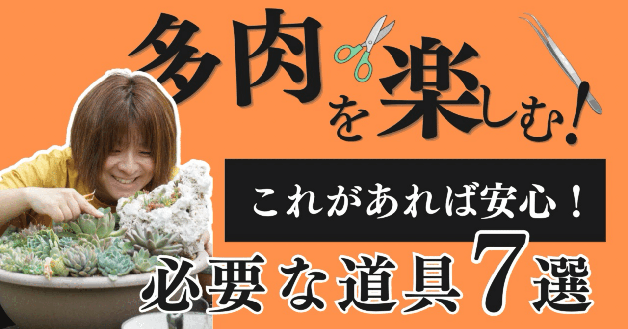 DIY多肉植物デビューの完全マニュアル|必要な道具から始め方まで