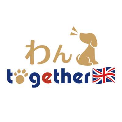 しつけ 必要なものリスト