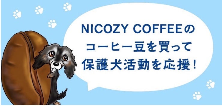 動物散歩 最初の一歩