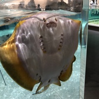 趣味家カラオケ 最初の一歩