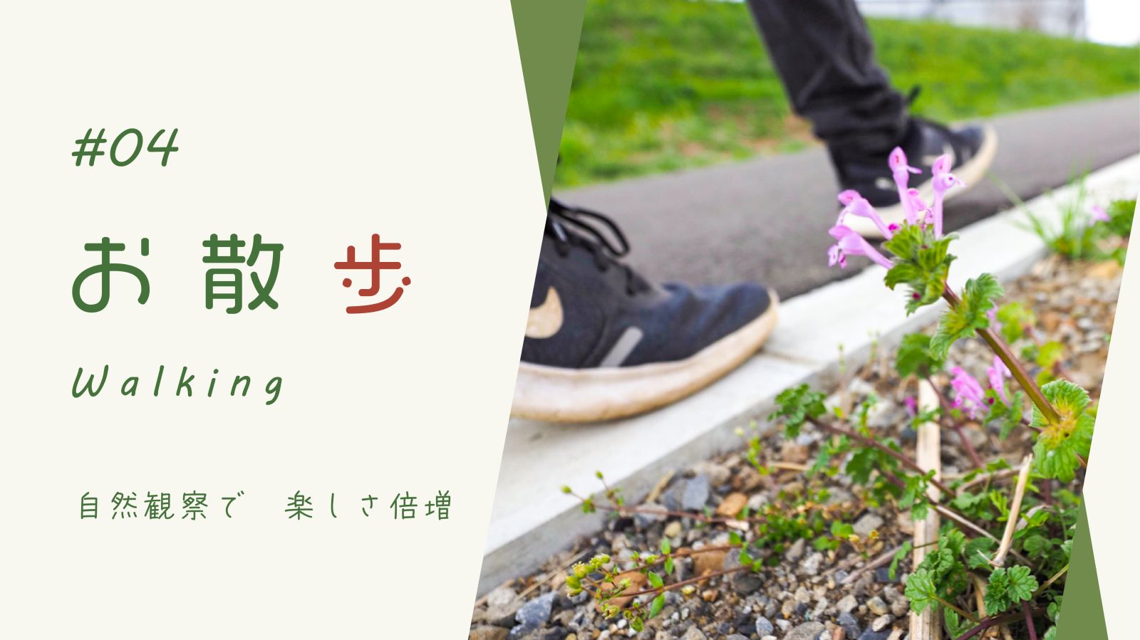 自然散歩 最初の一歩