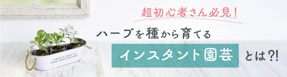 ハーブ園芸 最初の一歩