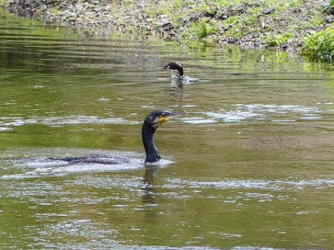 リサイクルアート 魅力とは