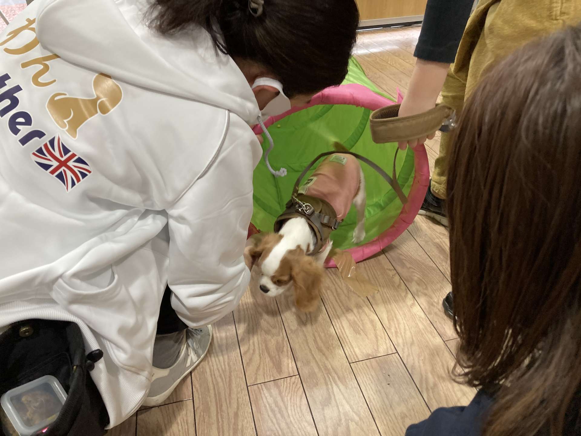 しつけ 魅力とは