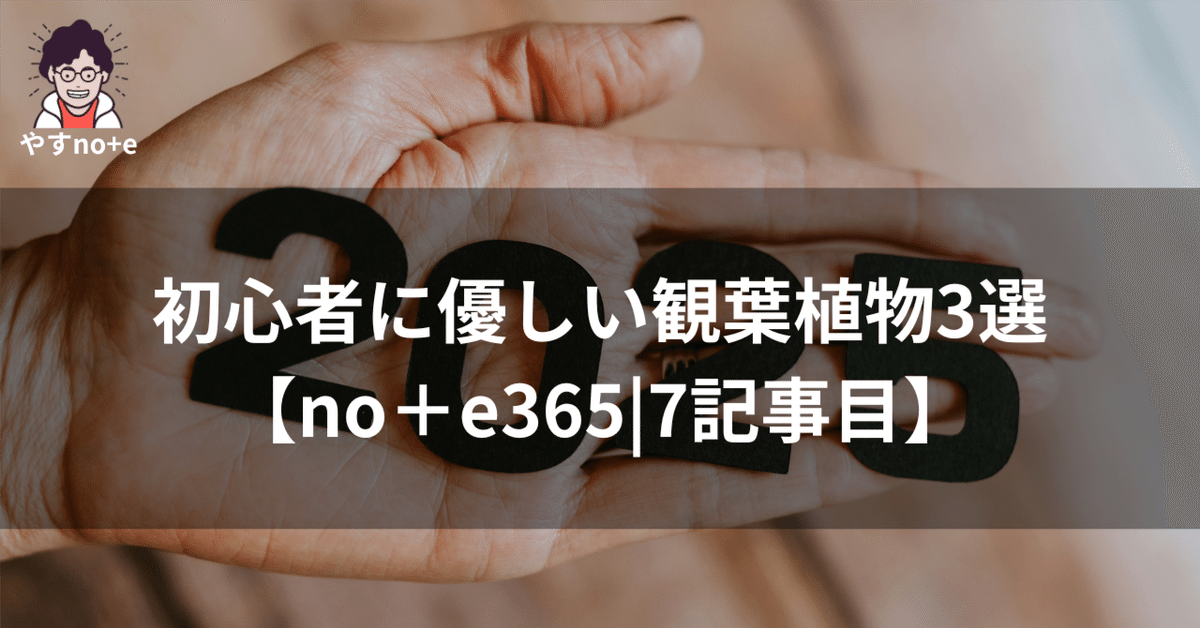 観葉植物 必要なものリスト